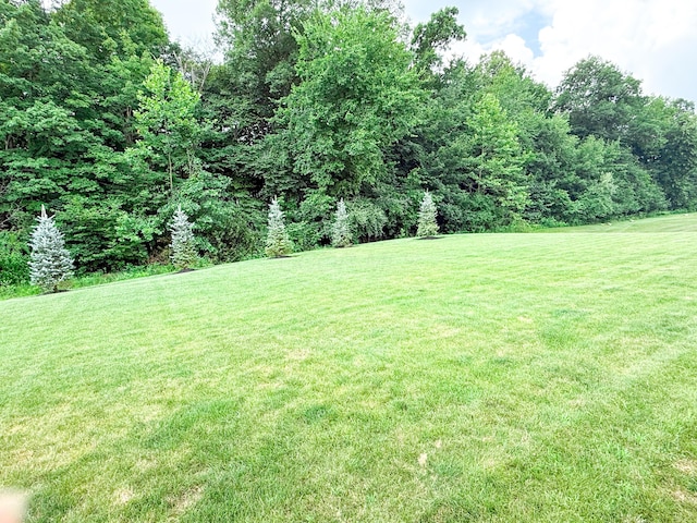 5470 Maple Glen Dr, Galena, OH 43021 - view of green lawn