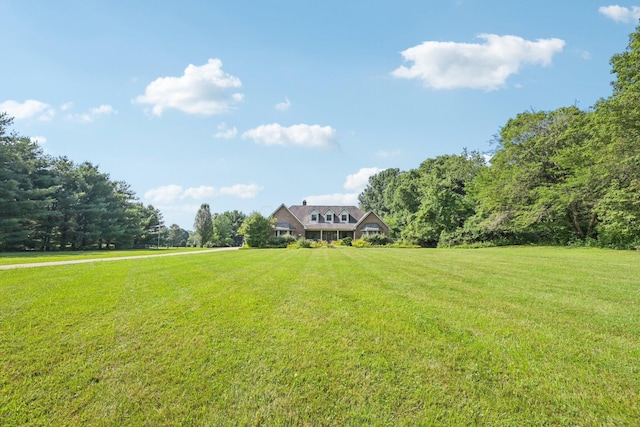 7700 Plumb Rd, Galena, OH 43021 - photo 88