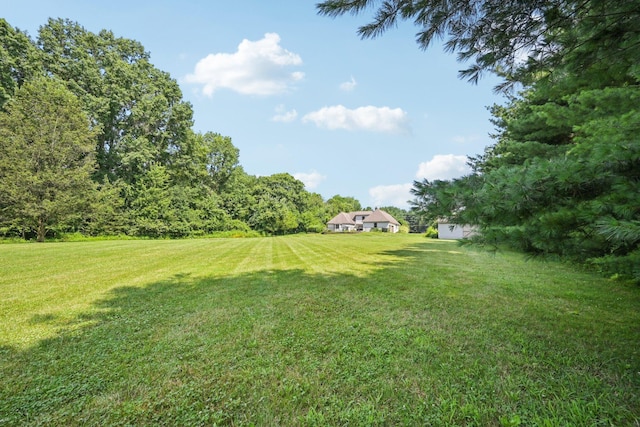 7700 Plumb Rd, Galena, OH 43021 - photo 86