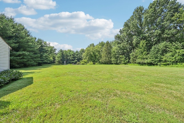 7700 Plumb Rd, Galena, OH 43021 - photo 87