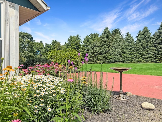 925 State Route 54, Urbana, OH 43078 - photo 12