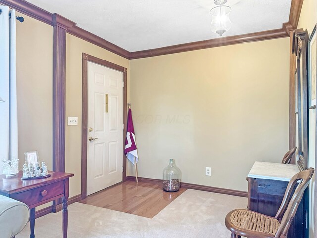 925 State Route 54, Urbana, OH 43078 - photo 39