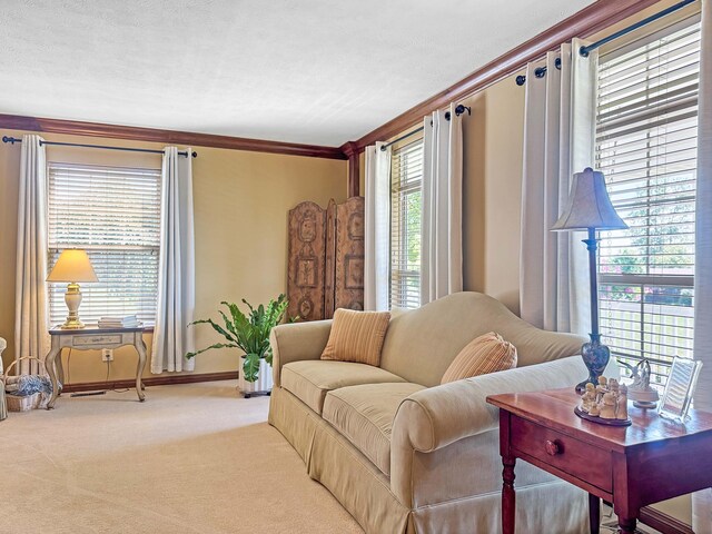 925 State Route 54, Urbana, OH 43078 - photo 19