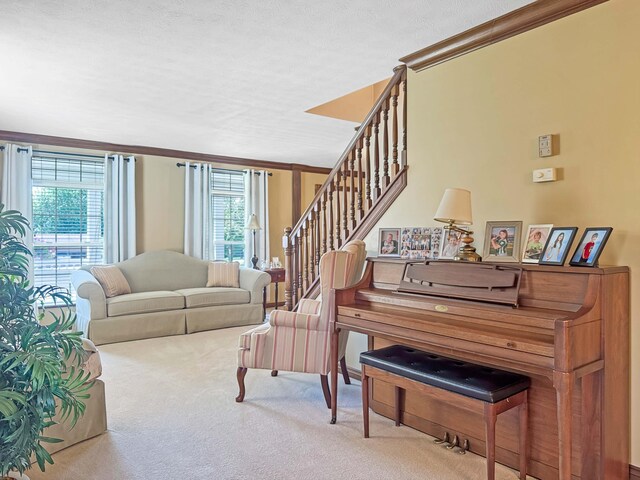 925 State Route 54, Urbana, OH 43078 - photo 20