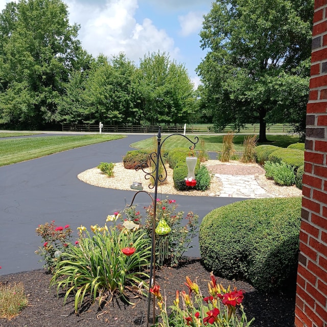 6824 Linda Ln, Sunbury, OH 43074 - photo 10