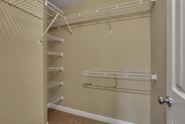 6824 Linda Ln, Sunbury, OH 43074 - photo 64