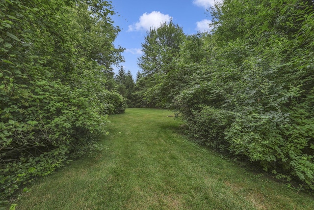 6824 Linda Ln, Sunbury, OH 43074 - photo 93