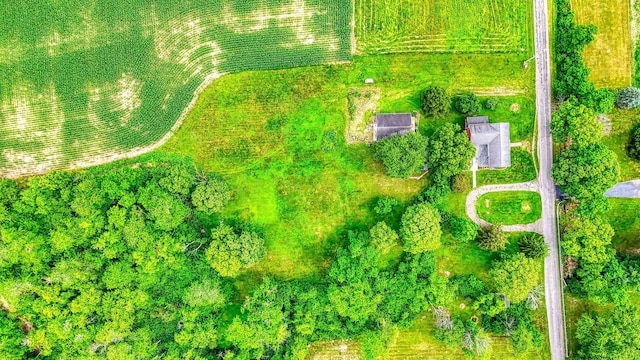 12585 Fridley Rd, Ashville, OH 43103 - photo 84