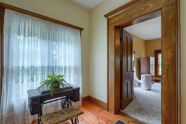 12585 Fridley Rd, Ashville, OH 43103 - photo 45
