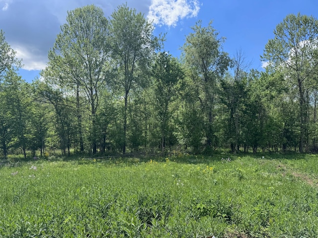 6238 Taggart Rd, Delaware, OH 43015 - photo 1