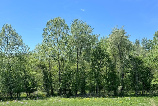 6238 Taggart Rd, Delaware, OH 43015 - photo 5