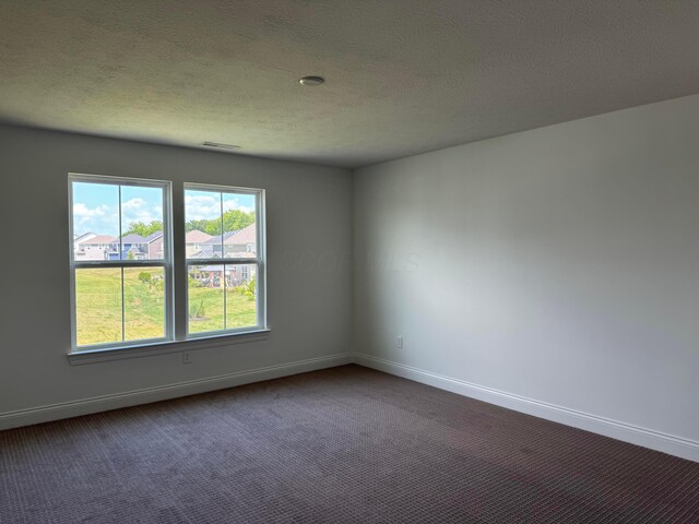 8760 Apricot Way Lot 1917, Plain City, OH 43064 - empty room featuring dark colored carpet and a textured ceiling