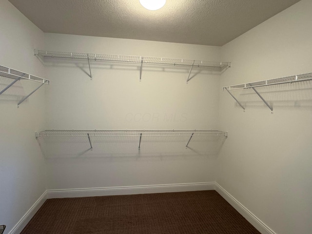 8760 Apricot Way Lot 1917, Plain City, OH 43064 - walk in closet with dark carpet