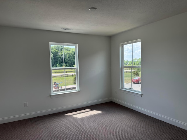 8760 Apricot Way Lot 1917, Plain City, OH 43064 - unfurnished room featuring dark carpet, healthy amount of natural light, and a textured ceiling