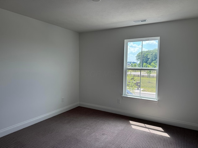8760 Apricot Way Lot 1917, Plain City, OH 43064 - unfurnished room featuring dark colored carpet, plenty of natural light, and a textured ceiling