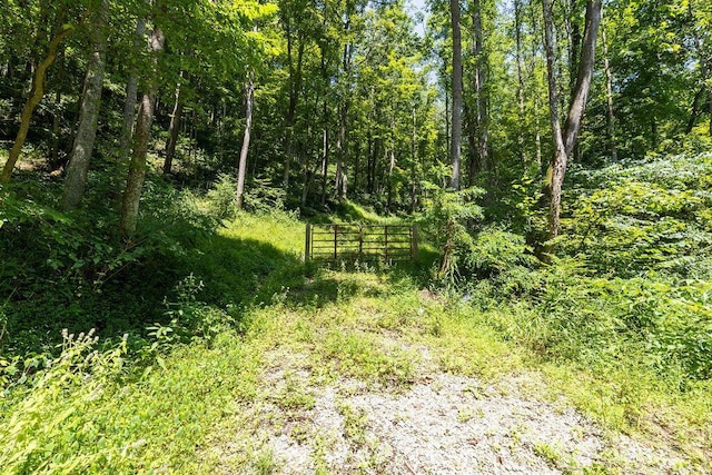 24272 Conrad Rd, Laurelville, OH 43135 - photo 20