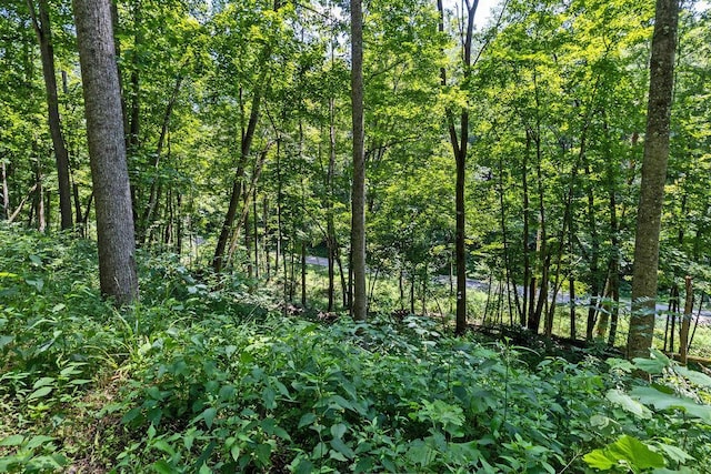 24272 Conrad Rd, Laurelville, OH 43135 - photo 23