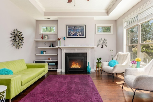 4881 Primrose Ct, Grove City, OH 43123 - living room featuring ornamental molding, wood finished floors, ceiling fan, a tray ceiling, and a fireplace with flush hearth