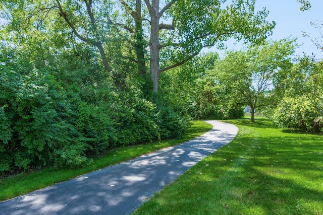 4881 Primrose Ct, Grove City, OH 43123 - view of home's community with a yard