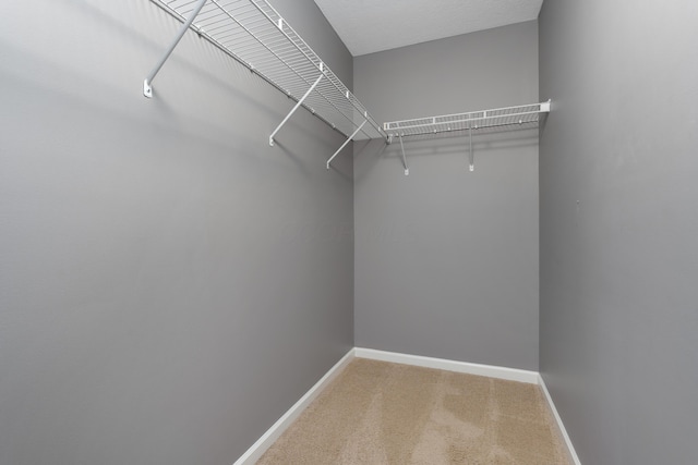 3839 Rubythroat Dr, Columbus, OH 43230 - spacious closet featuring light carpet