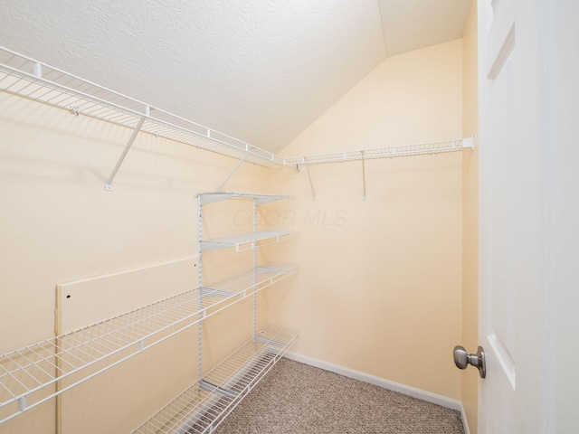 106 Sapphire Ice Dr, Delaware, OH 43015 - photo 30