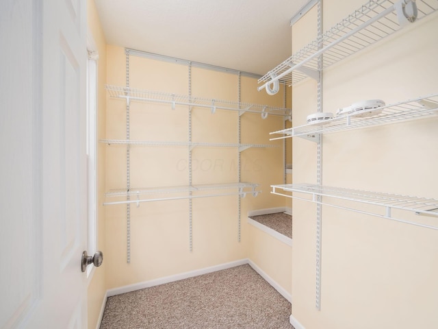 106 Sapphire Ice Dr, Delaware, OH 43015 - photo 40