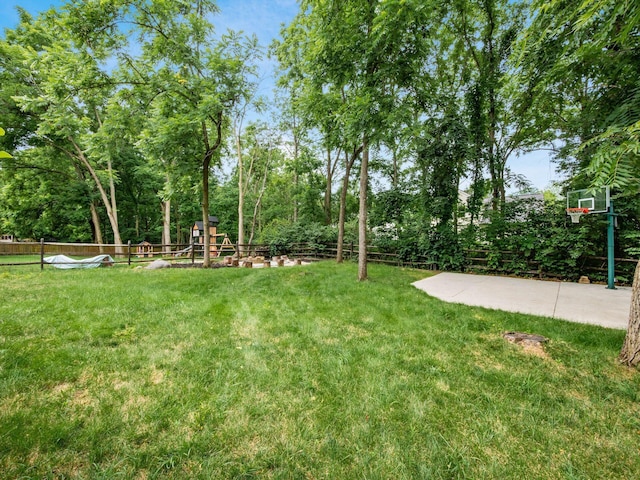 106 Sapphire Ice Dr, Delaware, OH 43015 - photo 58