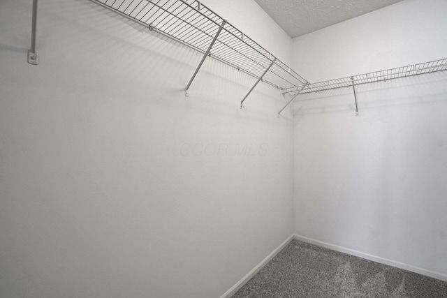 1386 Chickweed St Unit 244, Blacklick, OH 43004 - photo 20