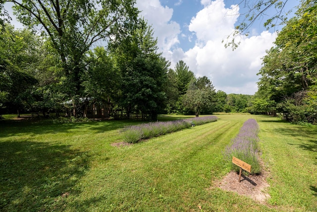 4474 Larue Prospect Rd S, Prospect, OH 43342 - photo 4