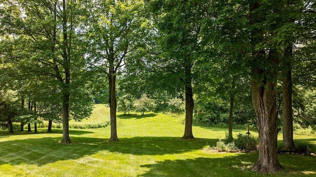 17766 Scott Rd, Mount Vernon, OH 43050