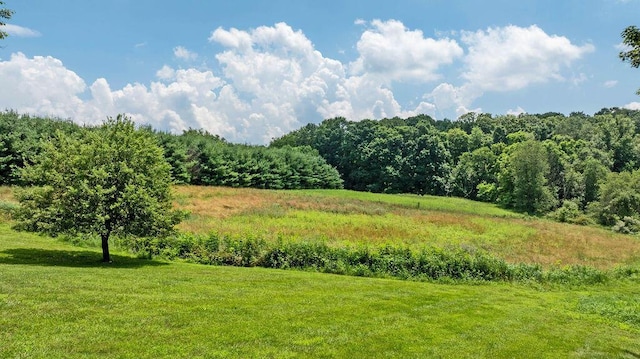 17766 Scott Rd, Mount Vernon, OH 43050