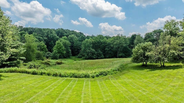 17766 Scott Rd, Mount Vernon, OH 43050