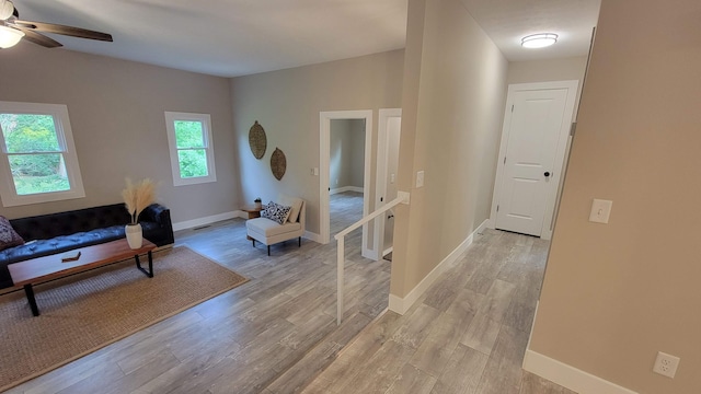 219 Beechwood St, Frankfort, OH 45628 - photo 19