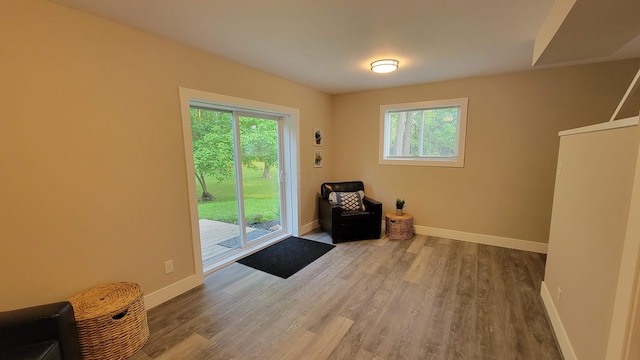 219 Beechwood St, Frankfort, OH 45628 - photo 32