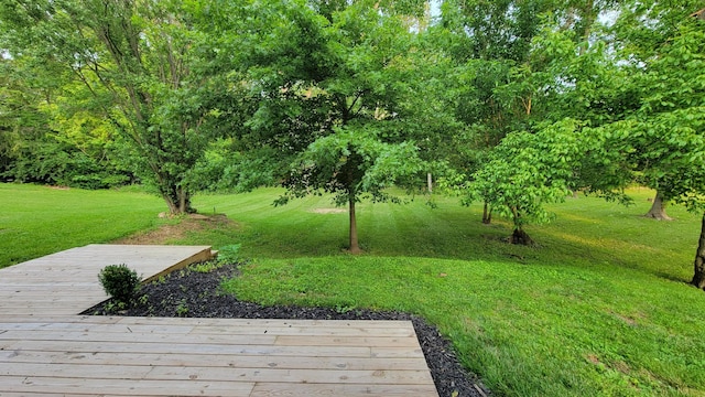219 Beechwood St, Frankfort, OH 45628 - photo 35