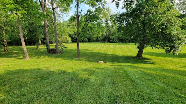 219 Beechwood St, Frankfort, OH 45628 - photo 39