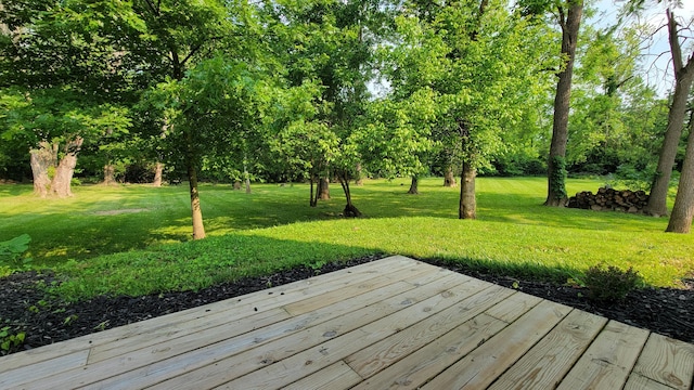 219 Beechwood St, Frankfort, OH 45628 - photo 41