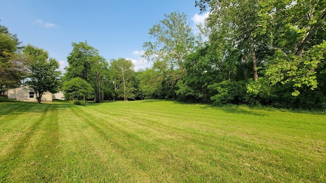 219 Beechwood St, Frankfort, OH 45628 - photo 47