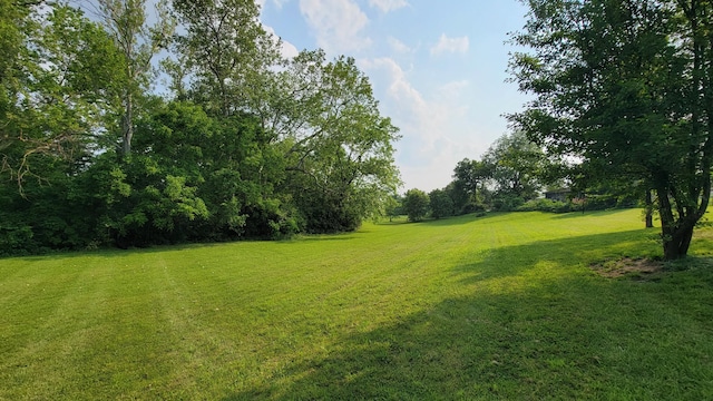 219 Beechwood St, Frankfort, OH 45628 - photo 48