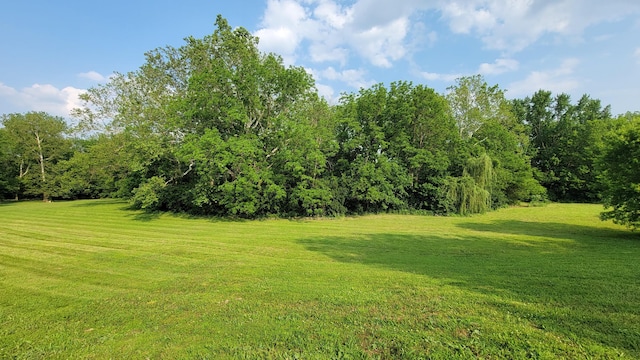 219 Beechwood St, Frankfort, OH 45628 - photo 50