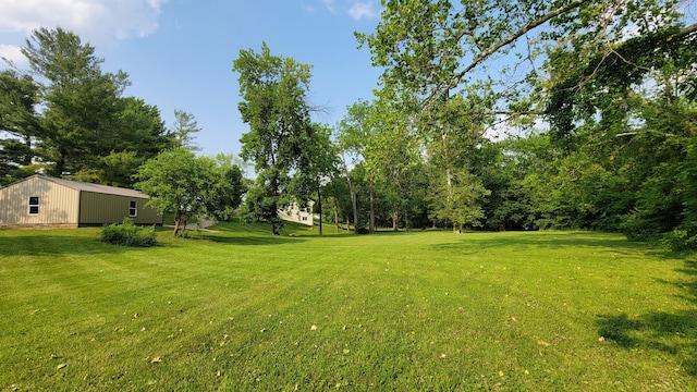 219 Beechwood St, Frankfort, OH 45628 - photo 53