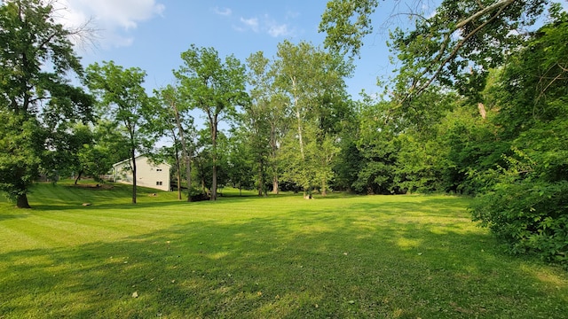 219 Beechwood St, Frankfort, OH 45628 - photo 54