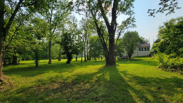 219 Beechwood St, Frankfort, OH 45628 - photo 65