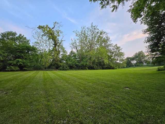 219 Beechwood St, Frankfort, OH 45628 - photo 76