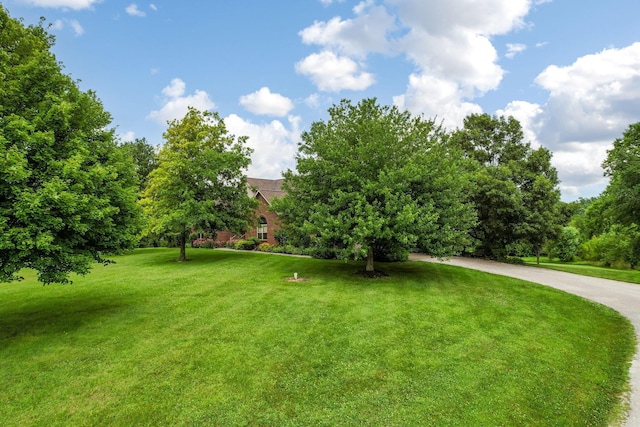 7616 Richardson Rd, Groveport, OH 43125 - photo 58