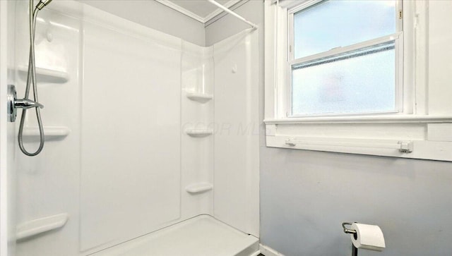 170 Mill St, Utica, OH 43080 - photo 19