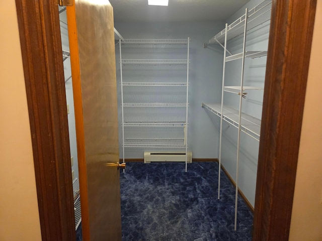 7376 Mink St SW, Pataskala, OH 43062 - walk in closet with carpet and a baseboard radiator