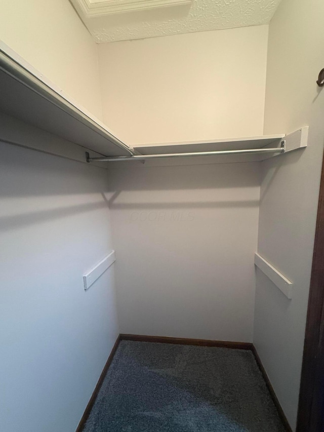 2022 Queensgate Ln, Columbus, OH 43235 - spacious closet with carpet floors