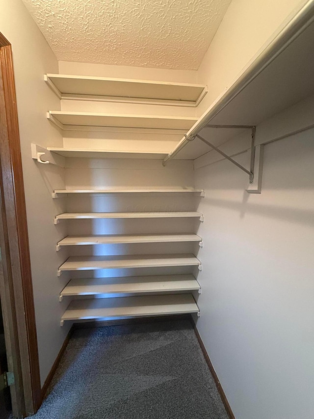 2022 Queensgate Ln, Columbus, OH 43235 - spacious closet with carpet flooring