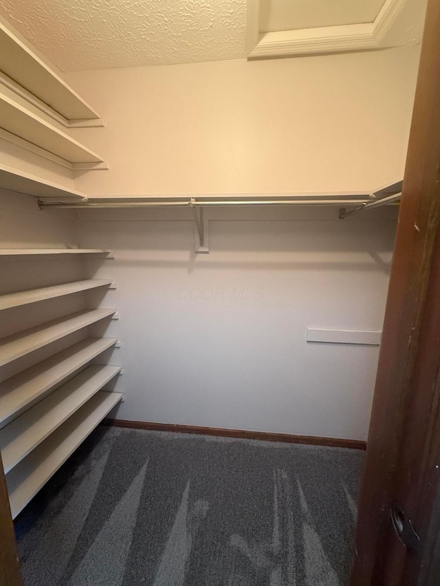 2022 Queensgate Ln, Columbus, OH 43235 - spacious closet with carpet floors